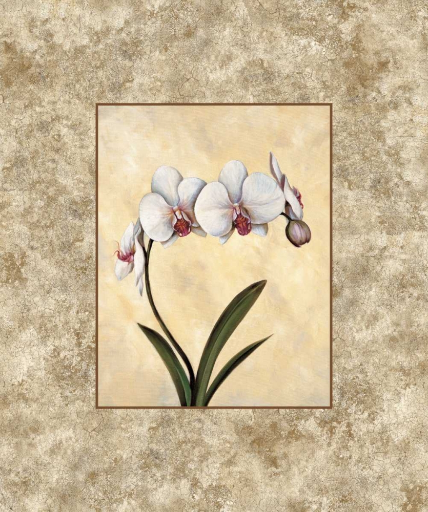 Perfection I art print by E. Lopez for $57.95 CAD