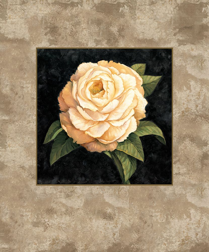 Yellow Peony art print by E. Lopez for $57.95 CAD