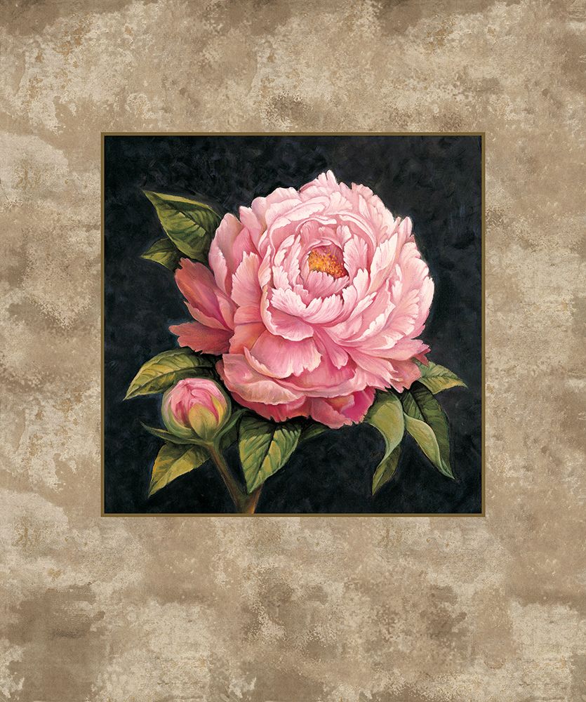 Pink Peony art print by E. Lopez for $57.95 CAD