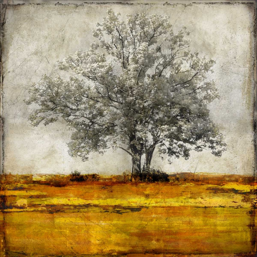Majestic - Amber art print by Eric Turner for $57.95 CAD