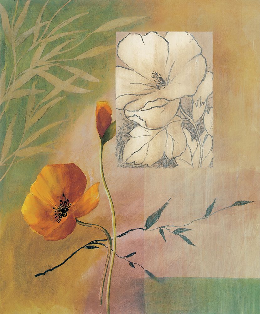 Fleurs et couleurs II art print by Genevieve Boulez for $57.95 CAD