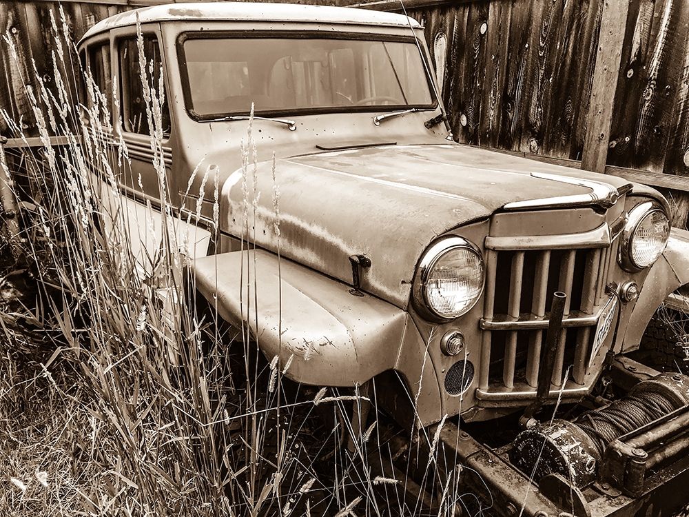 Willys in Sepia art print by Heidi Bannon for $57.95 CAD