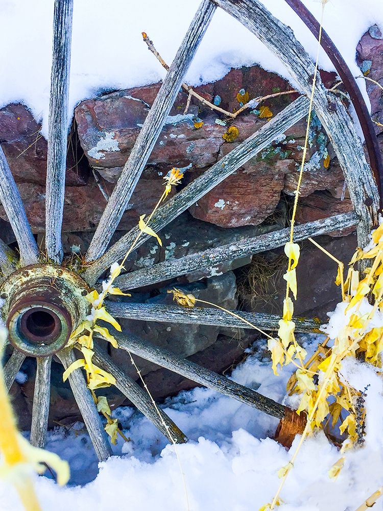 Montana Wagon Wheel I art print by Heidi Bannon for $57.95 CAD