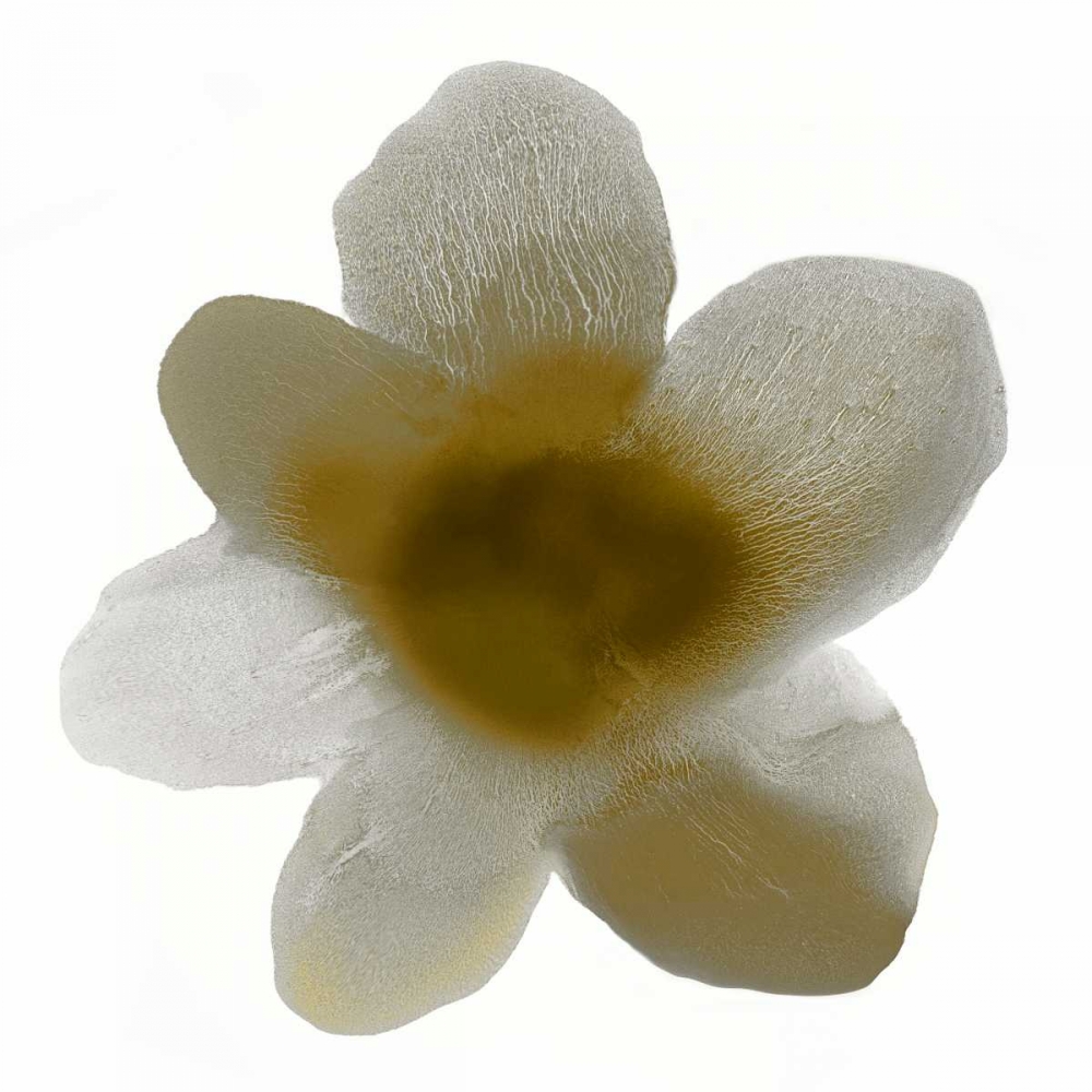 Bloom Taupe I art print by Hannah Carlson for $57.95 CAD