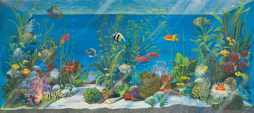 Acquario art print by Isabella Cuccato for $57.95 CAD