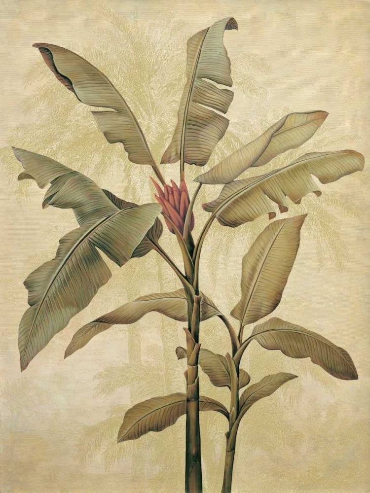 Palms of the Tropics I art print by Jill Deveraux for $57.95 CAD