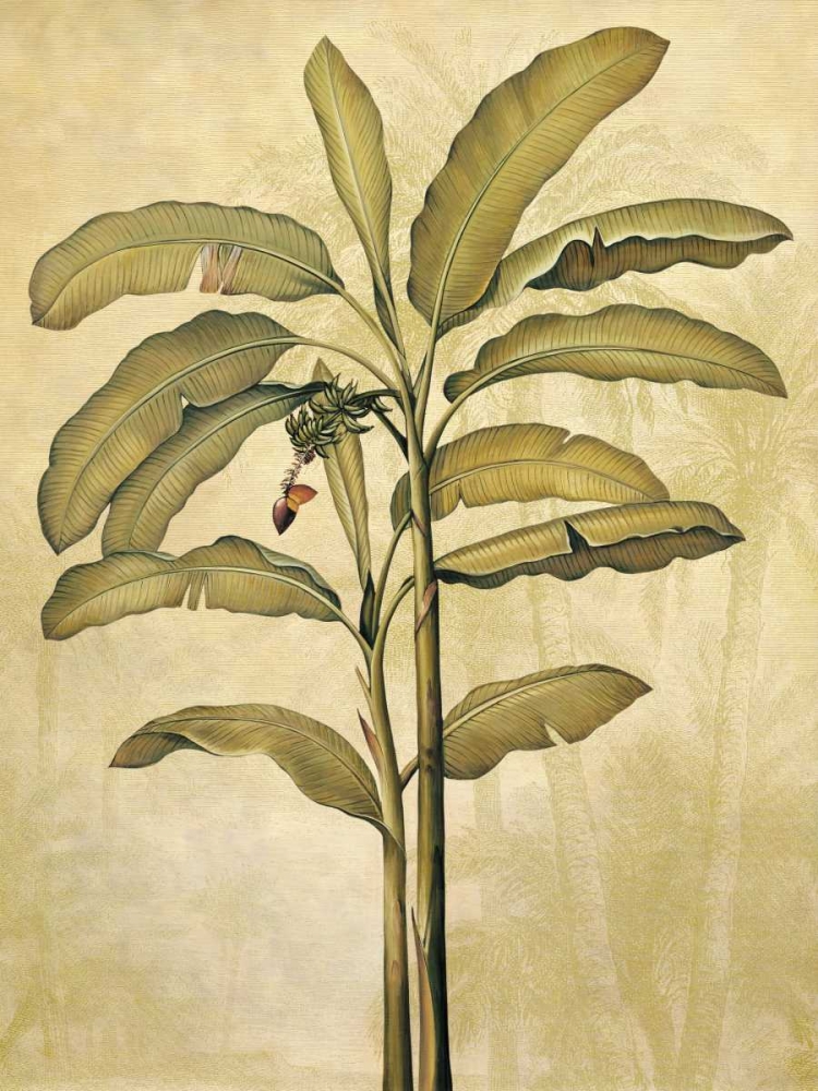 Palms of the Tropics II art print by Jill Deveraux for $57.95 CAD