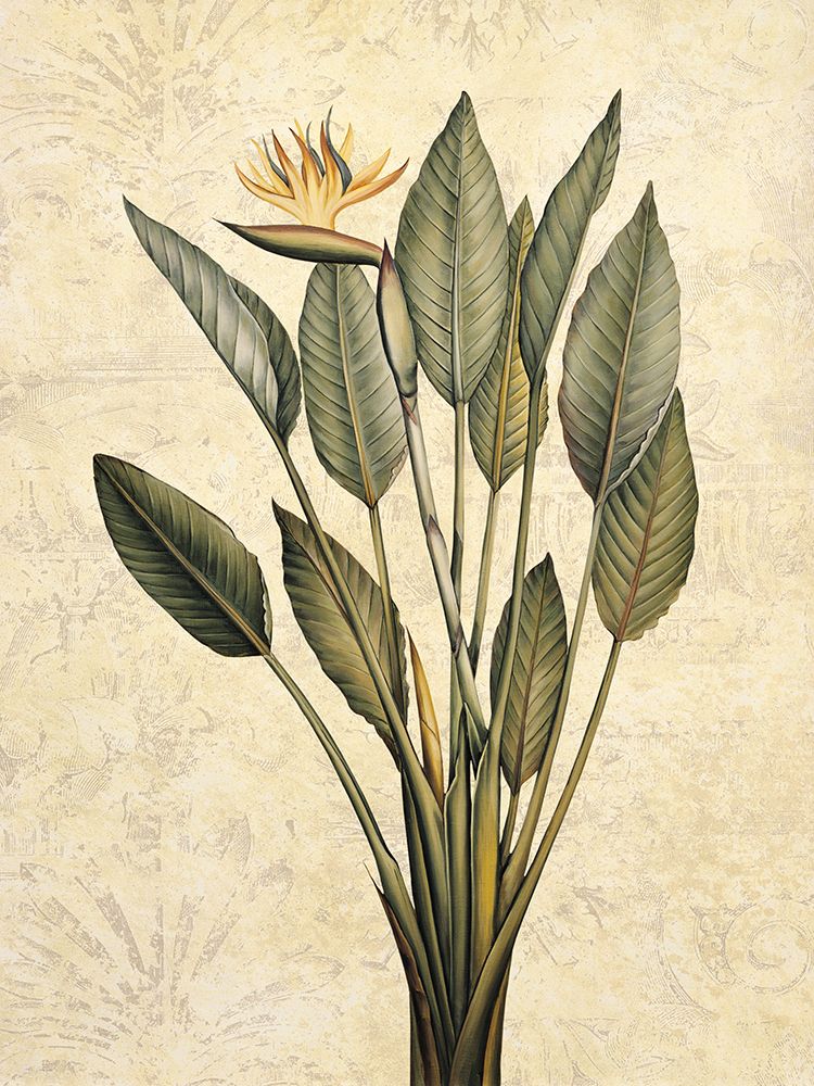 Palms of the Tropics III art print by Jill Deveraux for $57.95 CAD