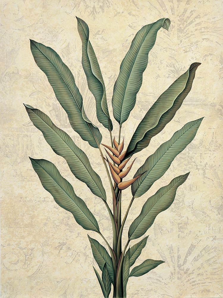 Palms of the Tropics IV art print by Jill Deveraux for $57.95 CAD