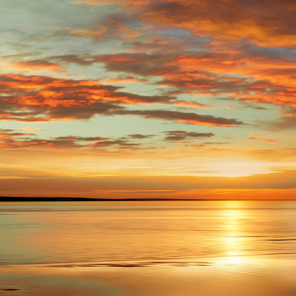 Sunlit I art print by John Seba for $57.95 CAD