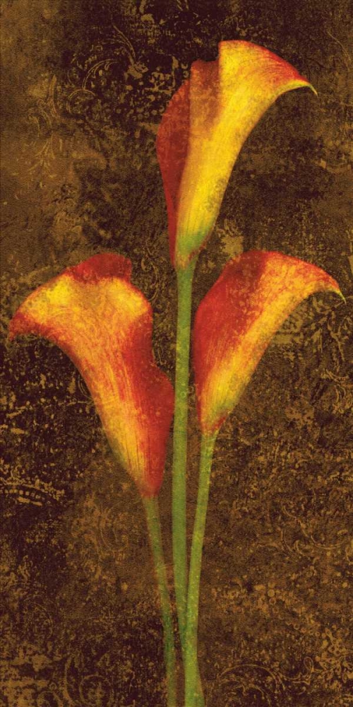 Callas art print by John Seba for $57.95 CAD