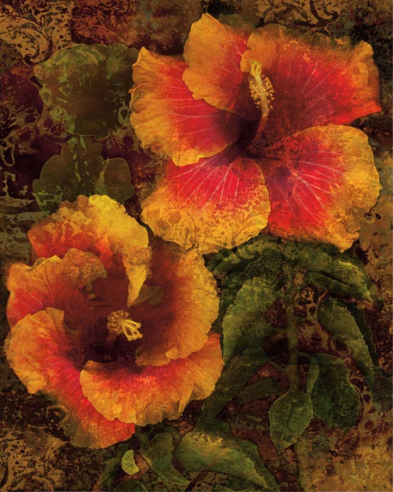 Hibiscus I art print by John Seba for $57.95 CAD