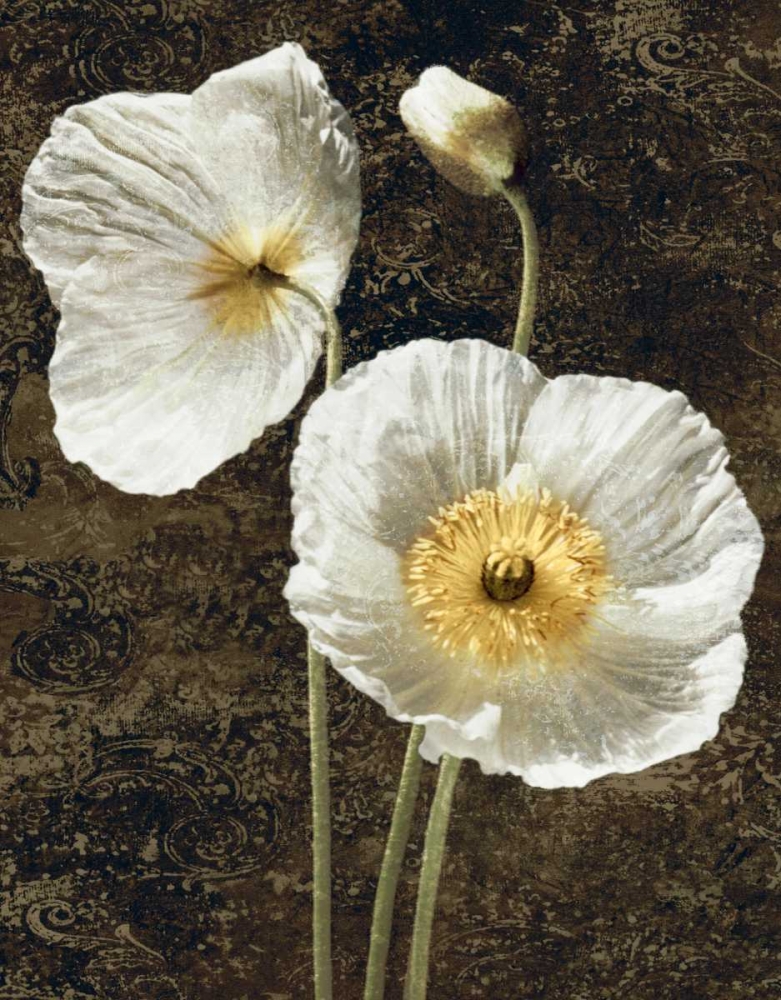 Poppies I art print by John Seba for $57.95 CAD