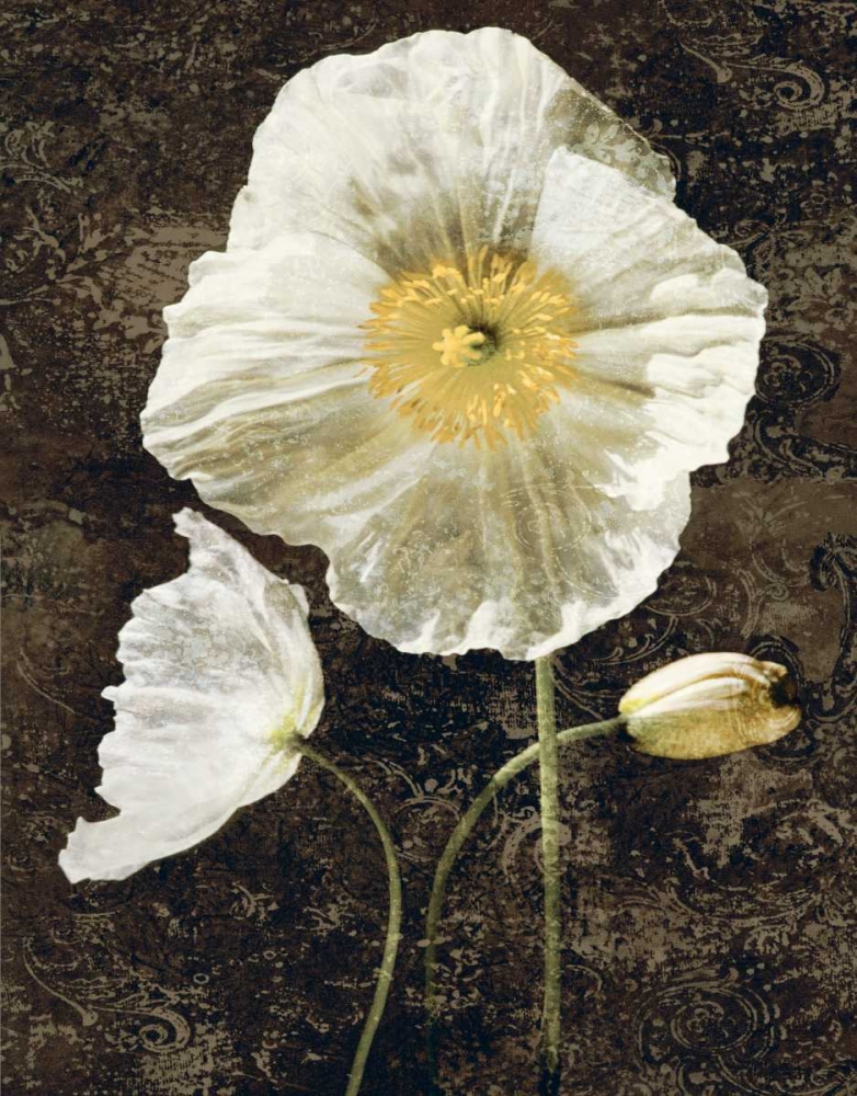 Poppies II art print by John Seba for $57.95 CAD