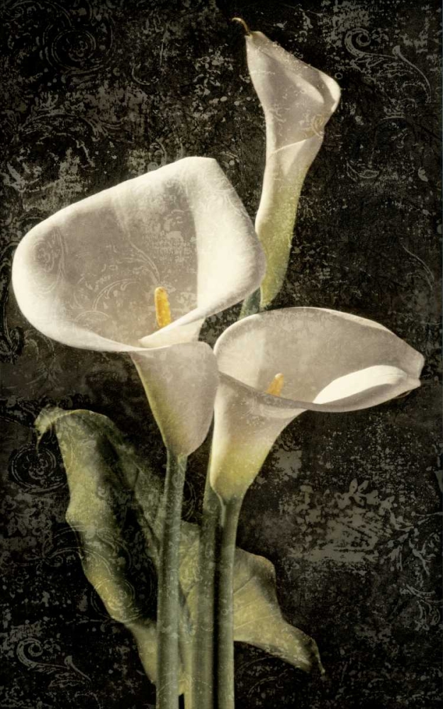 Callas I art print by John Seba for $57.95 CAD