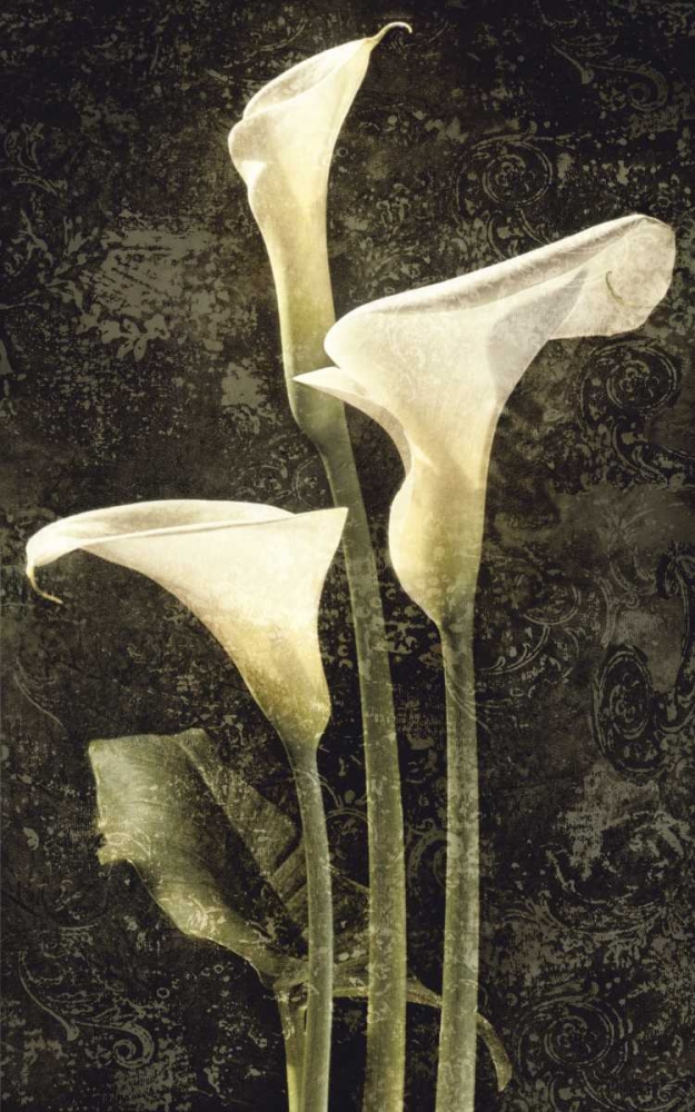 Callas II art print by John Seba for $57.95 CAD