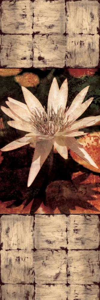 Waterlily Panel I art print by John Seba for $57.95 CAD