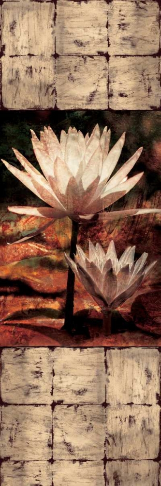 Waterlily Panel II art print by John Seba for $57.95 CAD