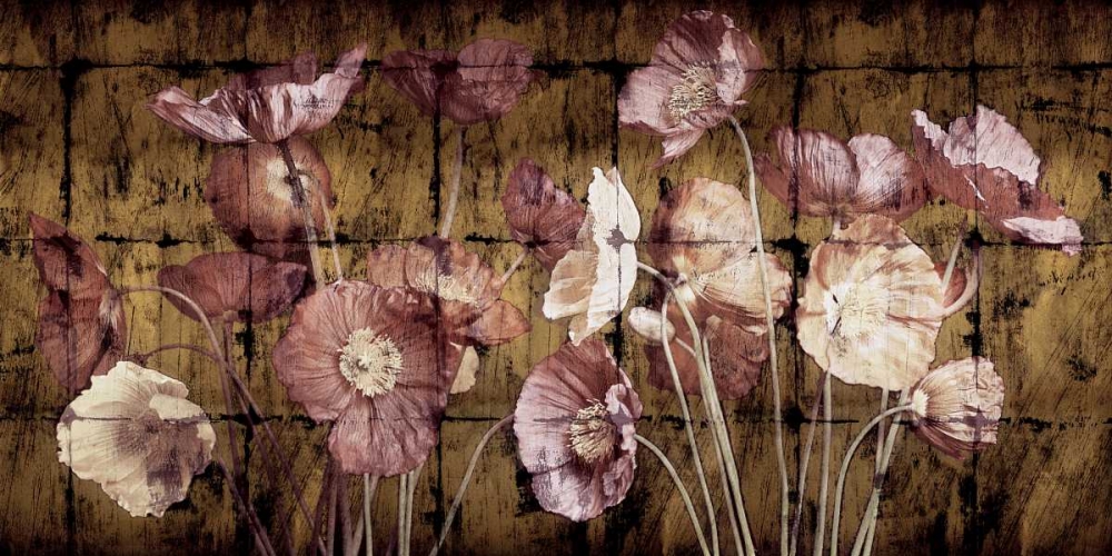 Poppies on Gold art print by John Seba for $57.95 CAD