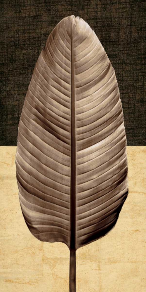 Palm Leaf II art print by John Seba for $57.95 CAD