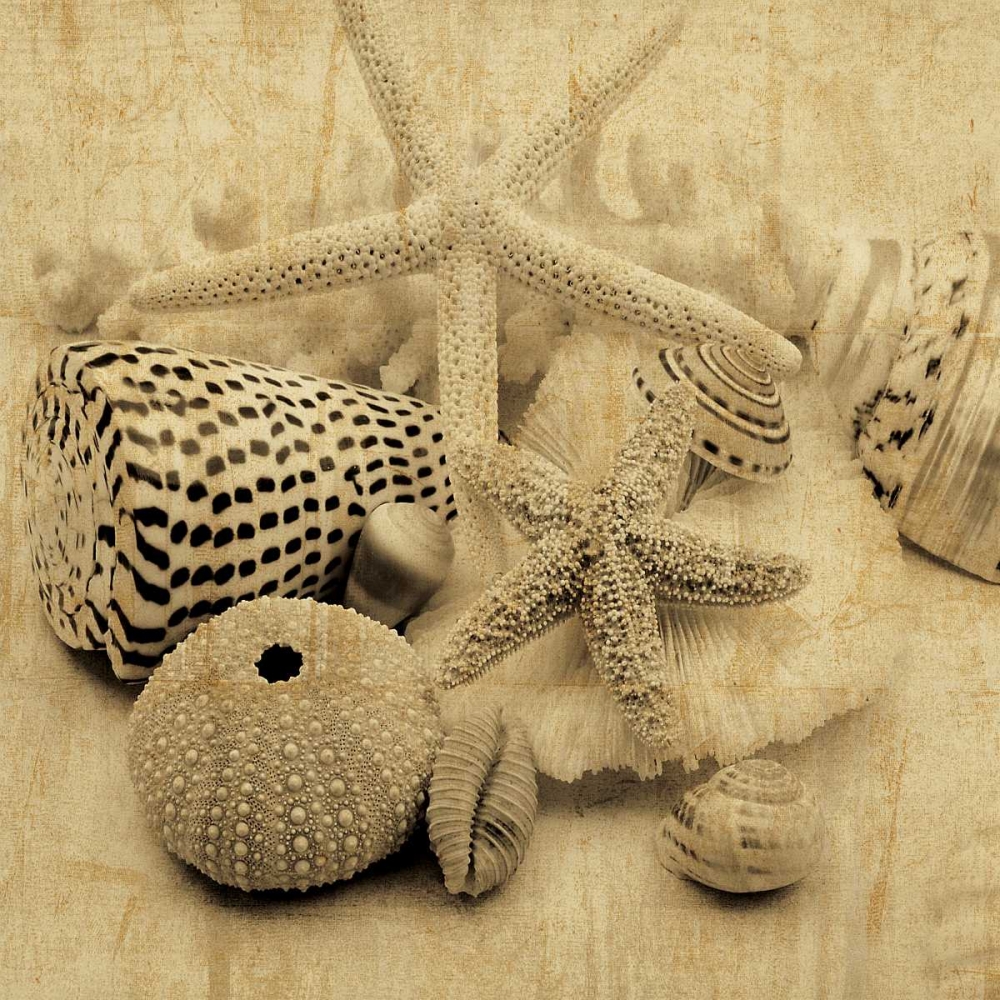 The Collection I art print by John Seba for $57.95 CAD