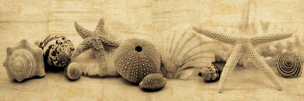 Treasures I art print by John Seba for $57.95 CAD