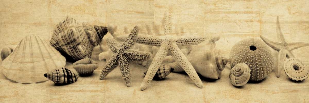 Treasures II art print by John Seba for $57.95 CAD