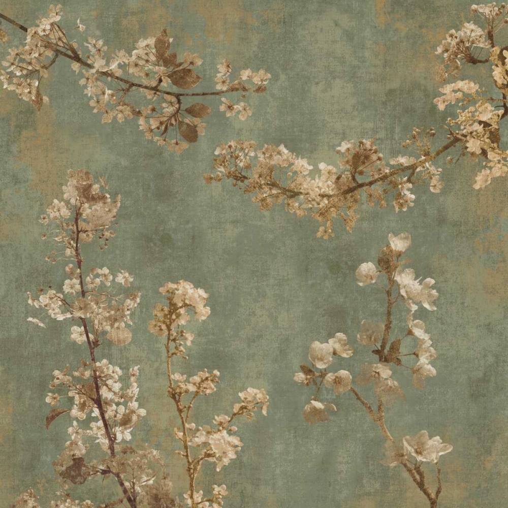 Morning Blossom I art print by John Seba for $57.95 CAD