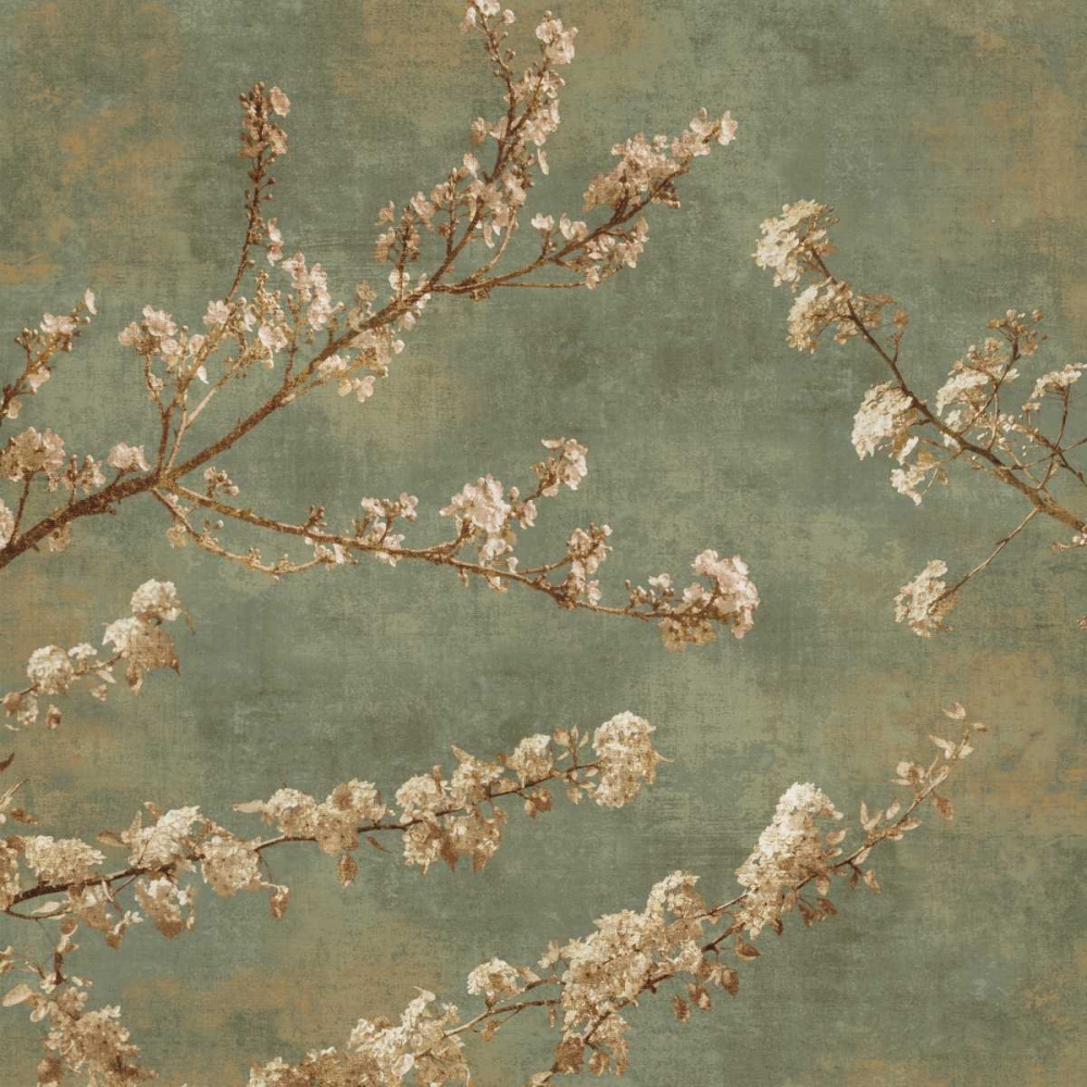 Morning Blossom II art print by John Seba for $57.95 CAD