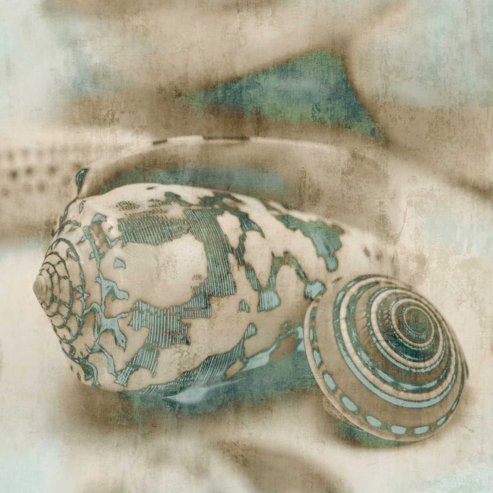 Coastal Gems I art print by John Seba for $57.95 CAD