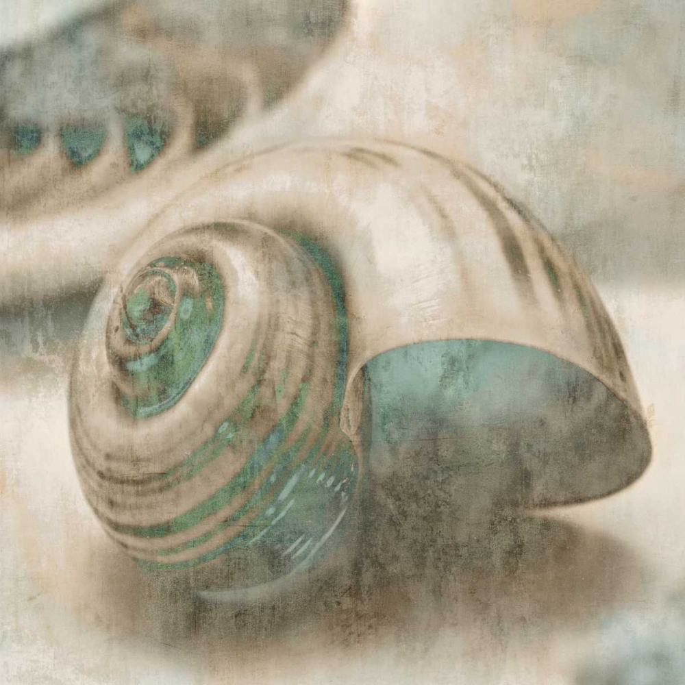 Coastal Gems II art print by John Seba for $57.95 CAD