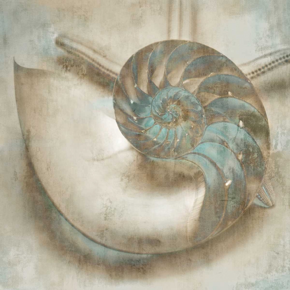 Coastal Gems IV art print by John Seba for $57.95 CAD
