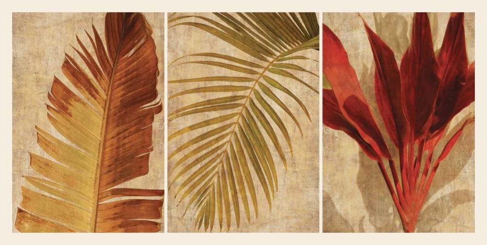 Palm Vista I art print by John Seba for $57.95 CAD