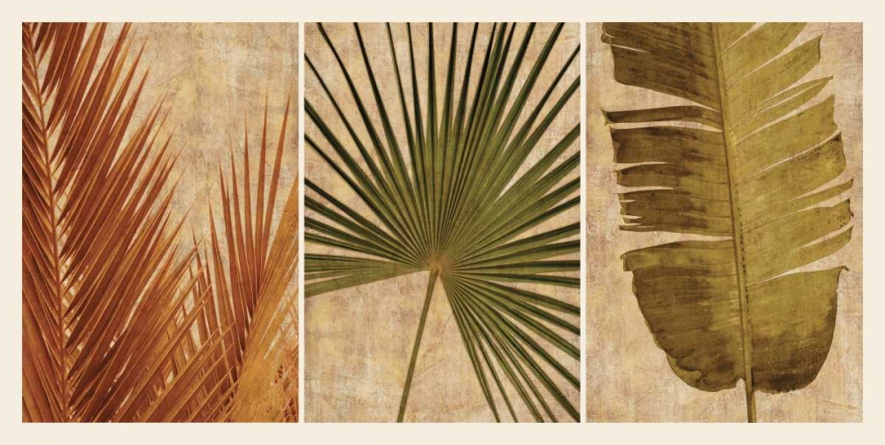 Palm Vista II art print by John Seba for $57.95 CAD
