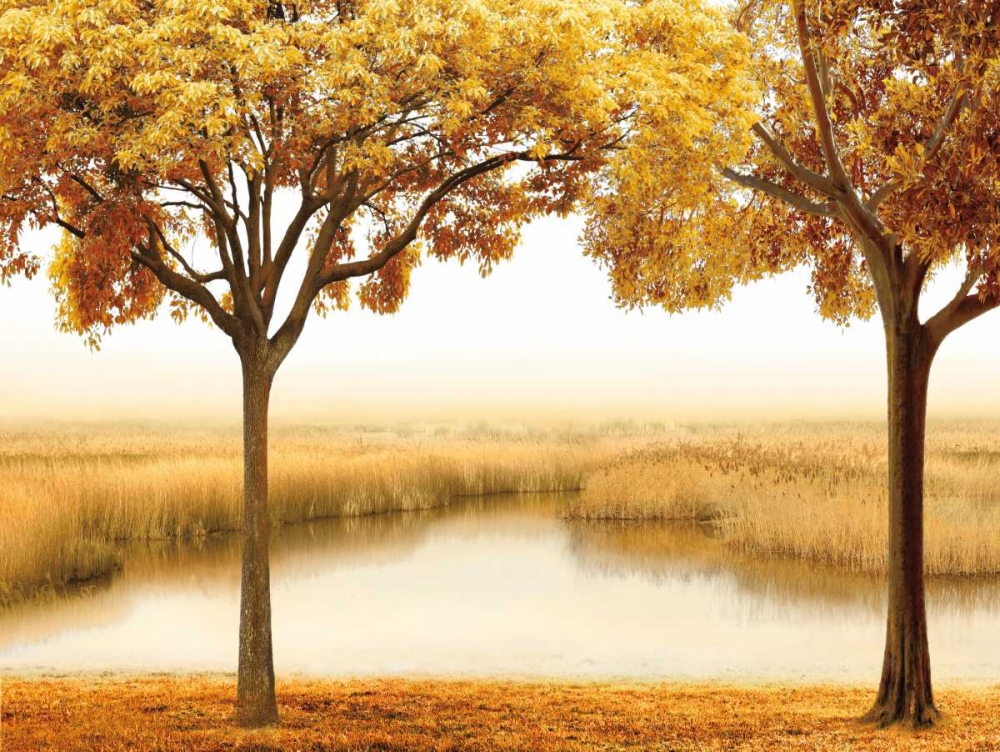 Golden Morning II art print by John Seba for $57.95 CAD