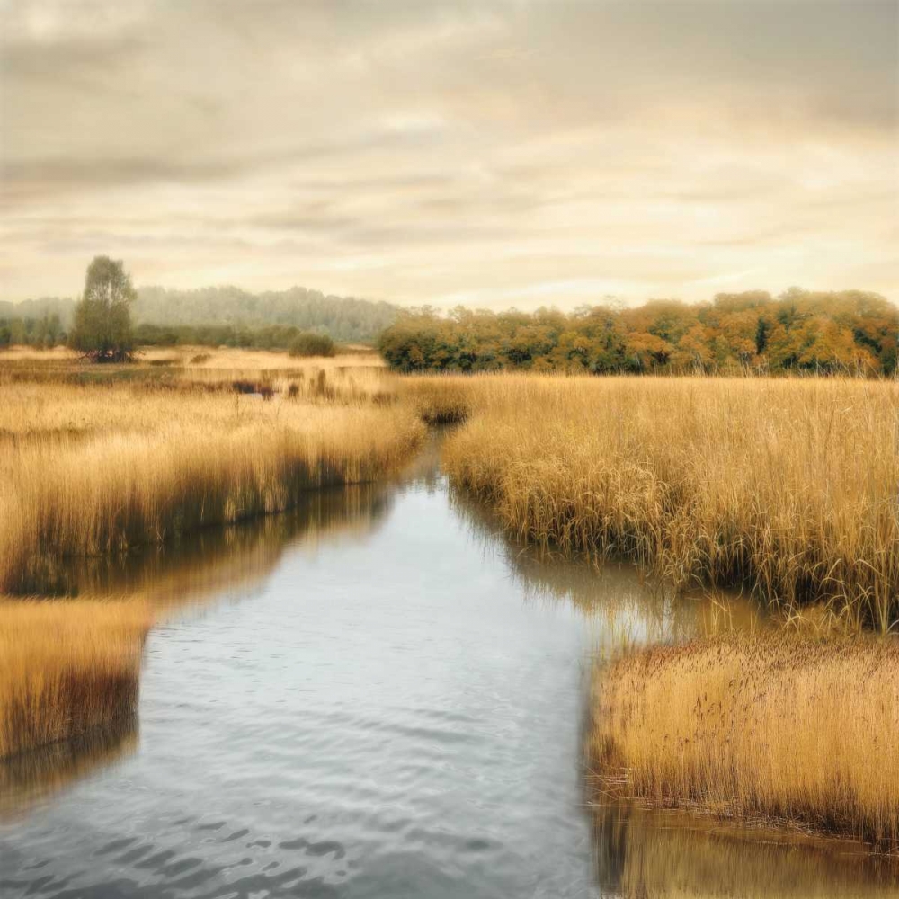 Morning Calm I art print by John Seba for $57.95 CAD