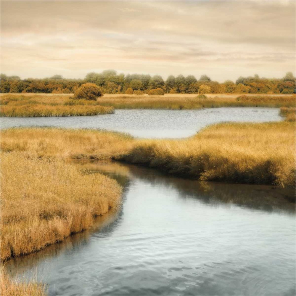 Morning Calm II art print by John Seba for $57.95 CAD