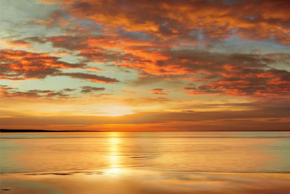 Sunlit art print by John Seba for $57.95 CAD