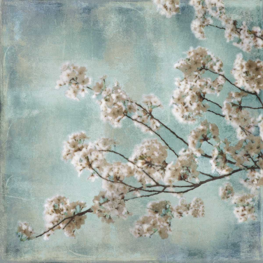 Aqua Blossoms I art print by John Seba for $57.95 CAD