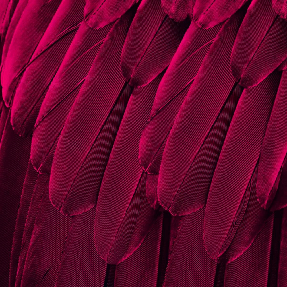 Feathered Friend - Magenta art print by Julia Bosco for $57.95 CAD