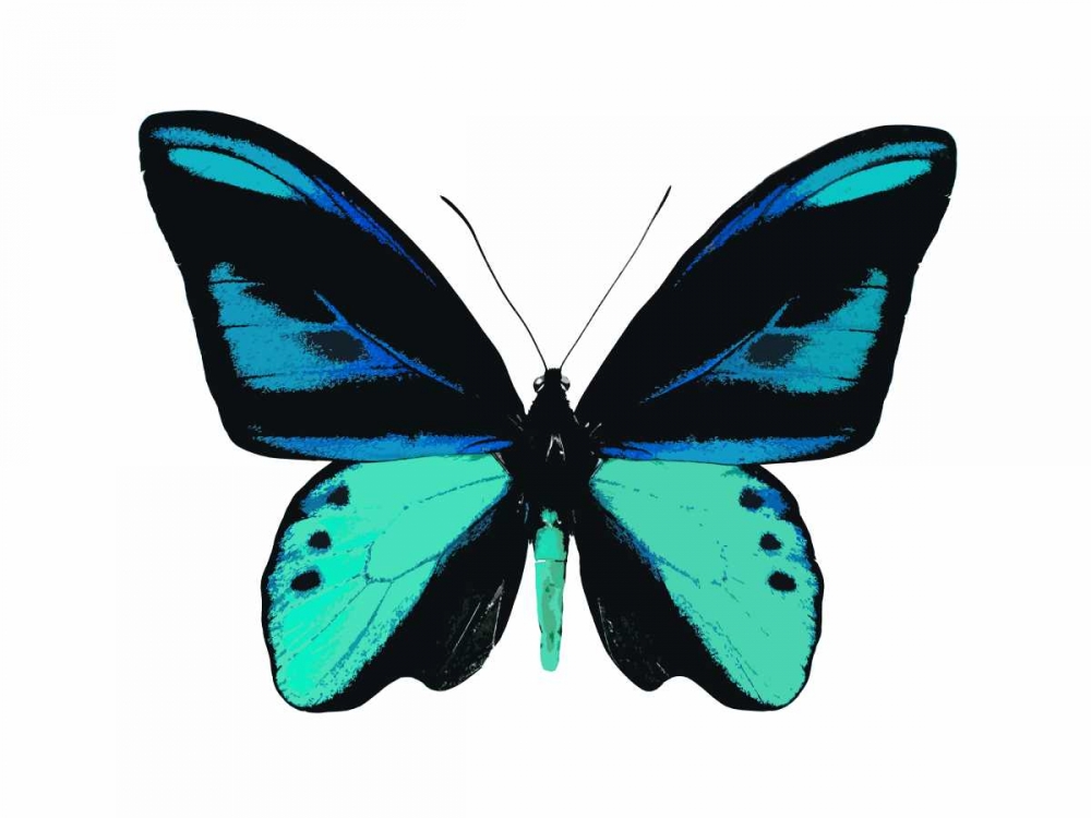 Vibrant Butterfly I art print by Julia Bosco for $57.95 CAD