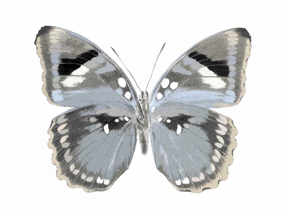 Butterfly in Grey I art print by Julia Bosco for $57.95 CAD