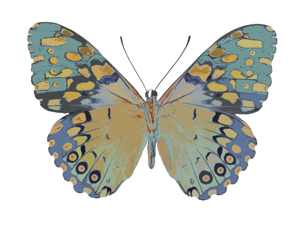 Butterfly in Amethyst II art print by Julia Bosco for $57.95 CAD
