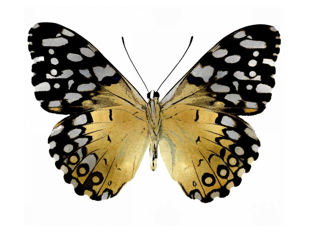 Golden Butterfly IV art print by Julia Bosco for $57.95 CAD