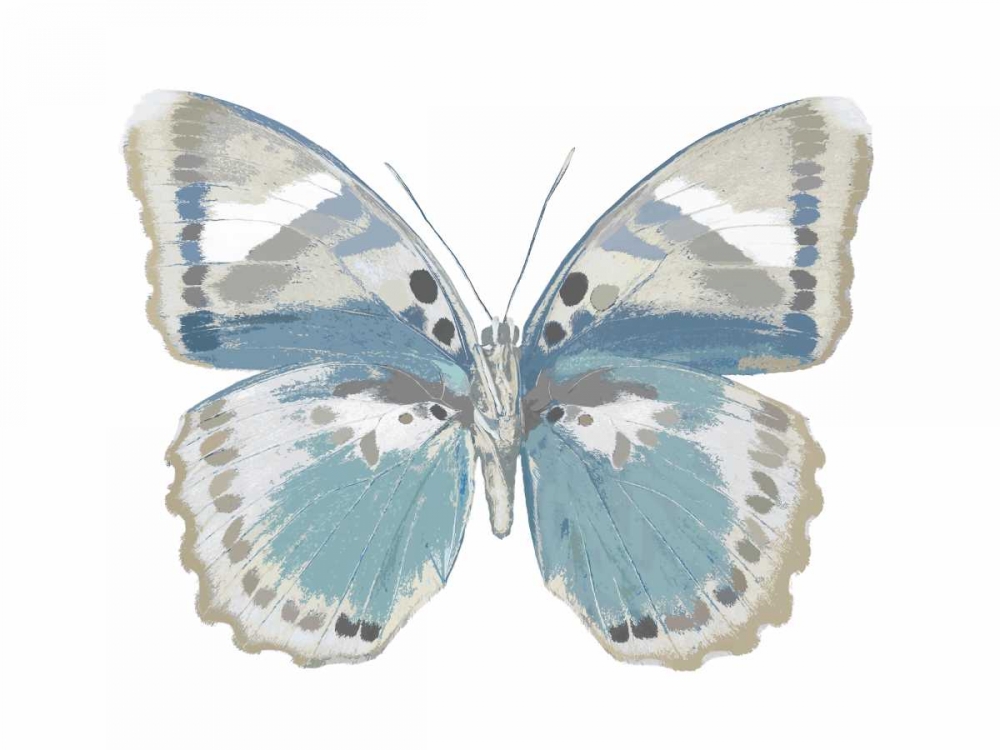 Butterfly in Green and Indigo art print by Julia Bosco for $57.95 CAD