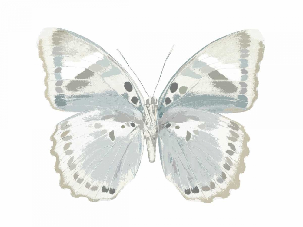 Butterfly in Mandarin art print by Julia Bosco for $57.95 CAD