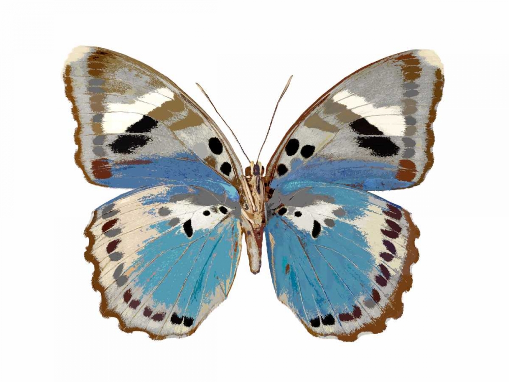 Butterfly in Pink I art print by Julia Bosco for $57.95 CAD
