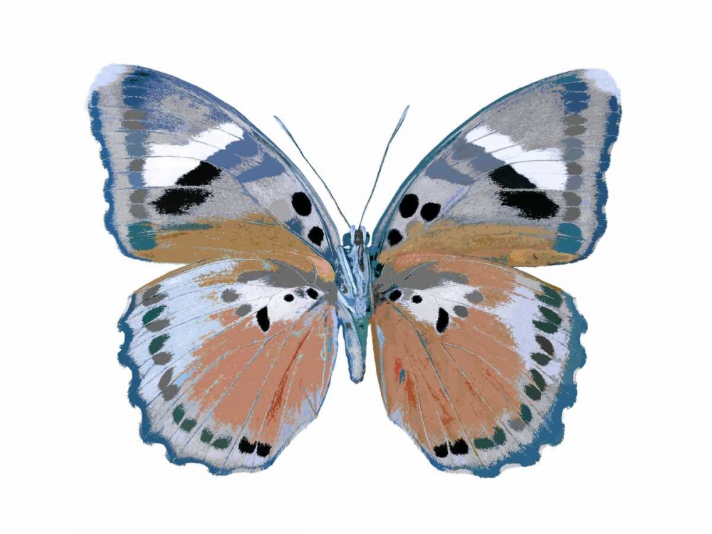 Butterfly in Pink II art print by Julia Bosco for $57.95 CAD