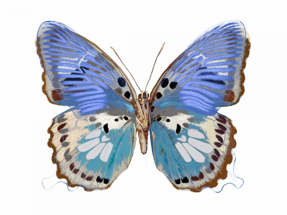 Golden Butterfly V art print by Julia Bosco for $57.95 CAD