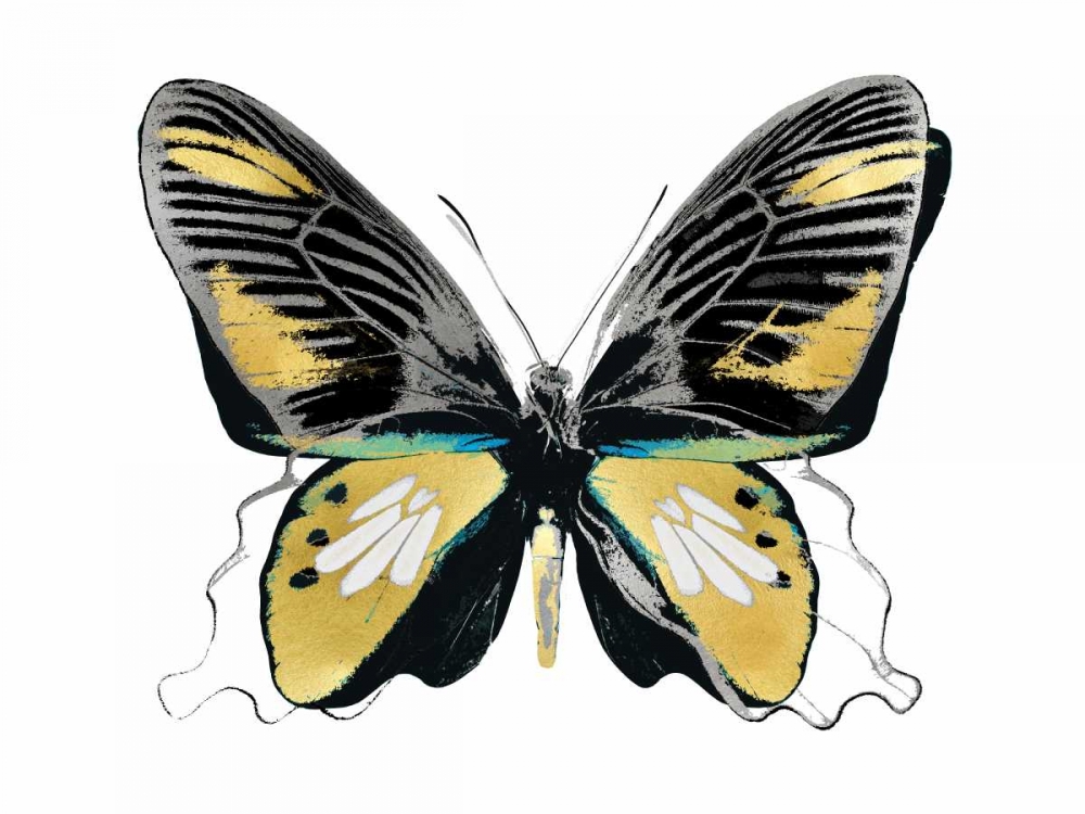 Vibrant Butterfly VI art print by Julia Bosco for $57.95 CAD